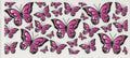 Butterflies #3