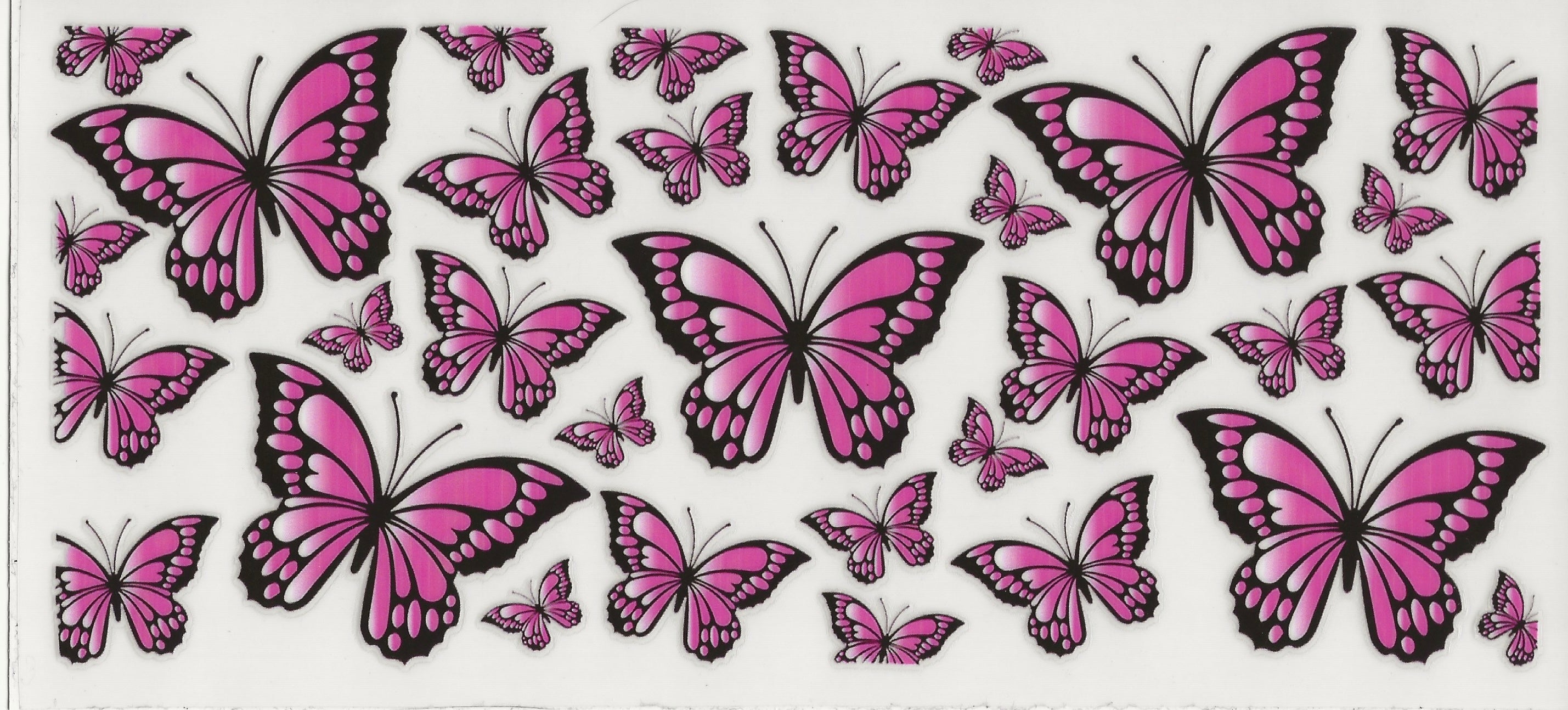 Butterflies #3